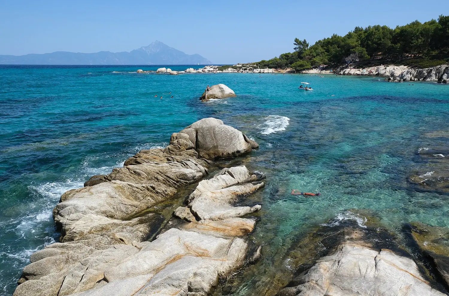 Καβουρότρυπες, Kavourotrypes