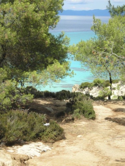 Οι Καβουρότρυπες 12