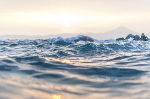 Οι Καβουρότρυπες 10